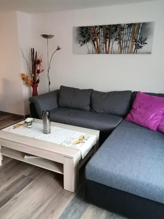 Haus Maisonette Am Harz Niedersachswerfen Экстерьер фото