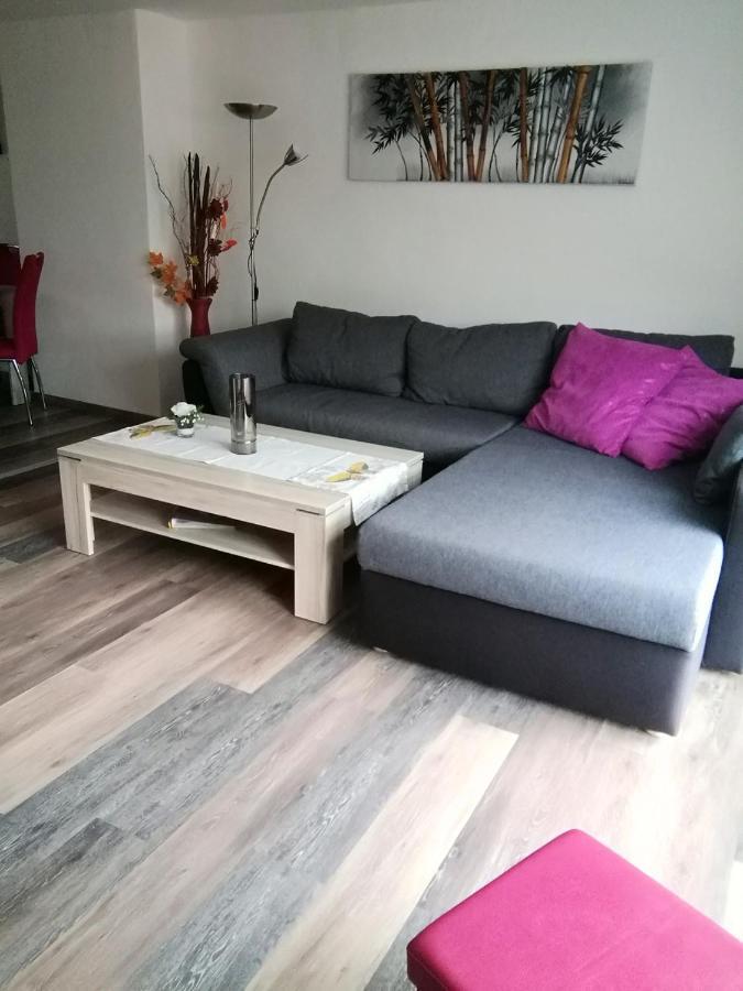 Haus Maisonette Am Harz Niedersachswerfen Экстерьер фото
